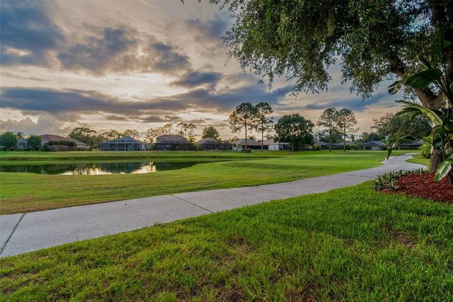 3553 MORGANS BLUFF COURT, Land O Lakes, FL 34639