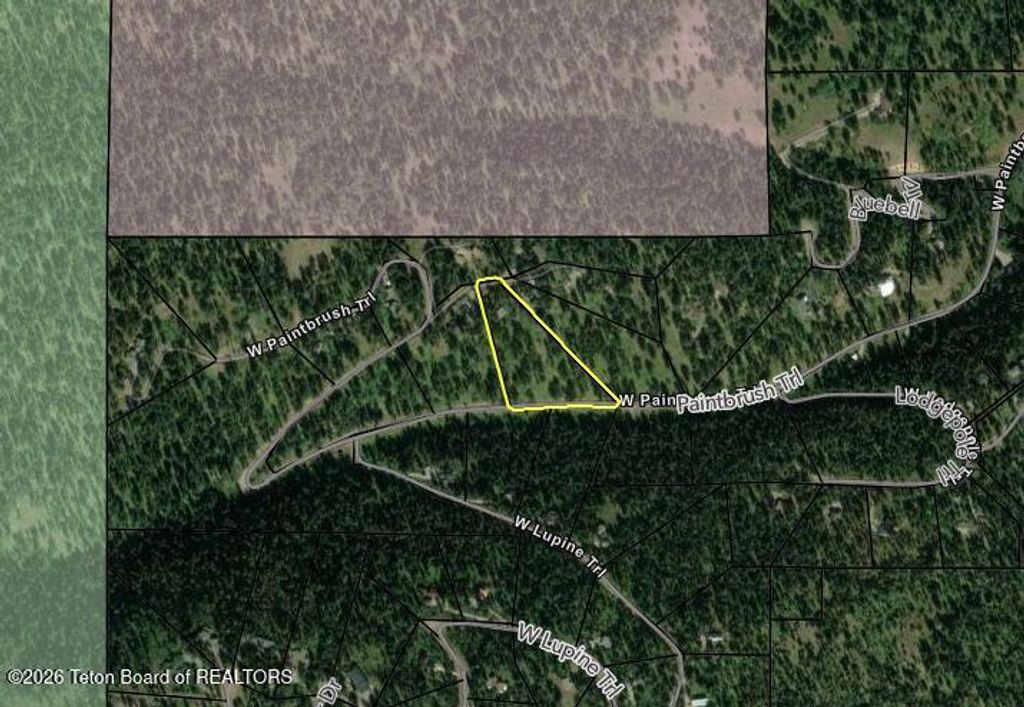 6815 W PAINTBRUSH Trail, Wilson, WY 83014 photo 47