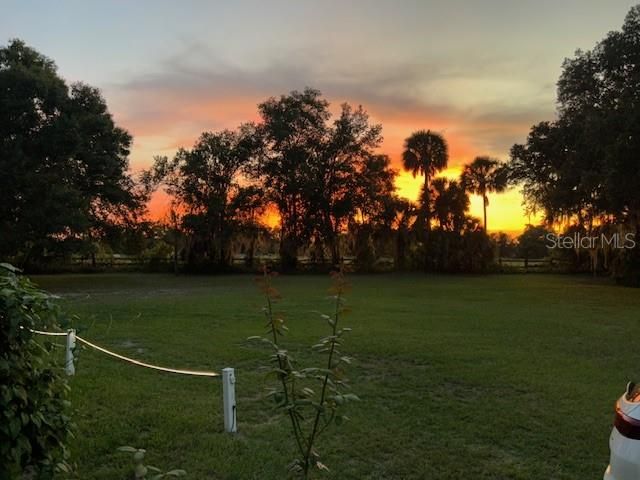 8027 EHREN CUTOFF, Land O Lakes, FL 34639