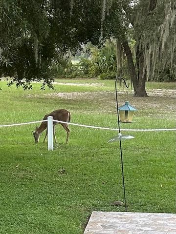 8027 EHREN CUTOFF, Land O Lakes, FL 34639