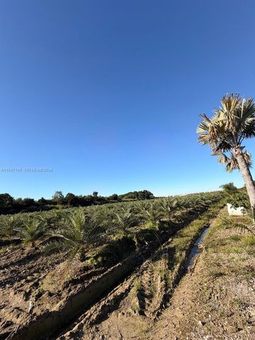 287XX SW 107 Ave, Unincorporated Dade County, FL 33033