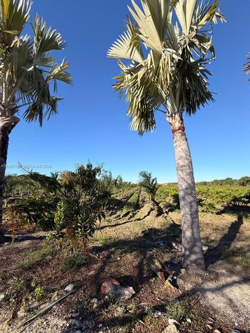 287XX SW 107 Ave, Unincorporated Dade County, FL 33033