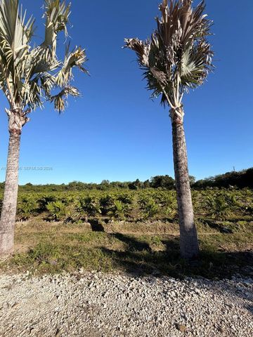 287XX SW 107 Ave, Unincorporated Dade County, FL 33033