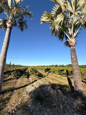 287XX SW 107 Ave, Unincorporated Dade County, FL 33033