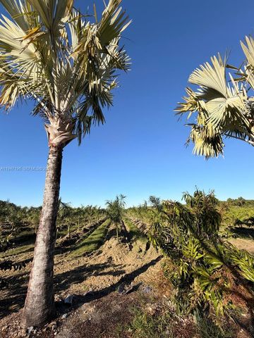 287XX SW 107 Ave, Unincorporated Dade County, FL 33033