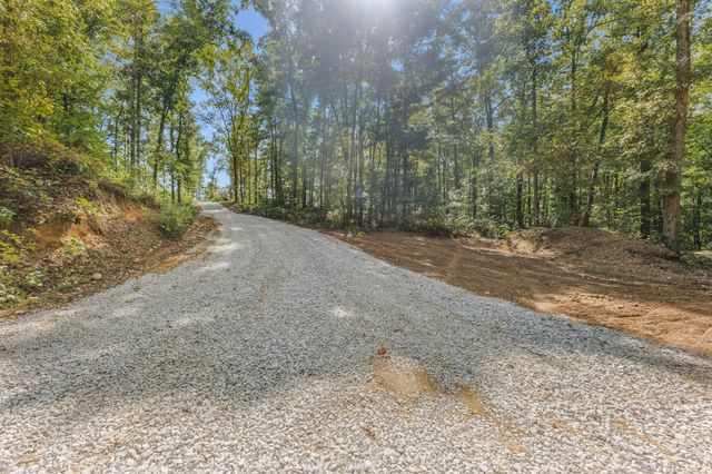 1745 Ennis Branch Rd, Mc Ewen, TN 37101