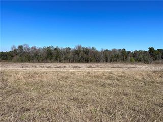LOT 4B E HWY 318, Fort Mc Coy, FL 32134