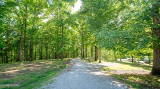 124 &118 Nickey Lane, Harriman, TN 37748
