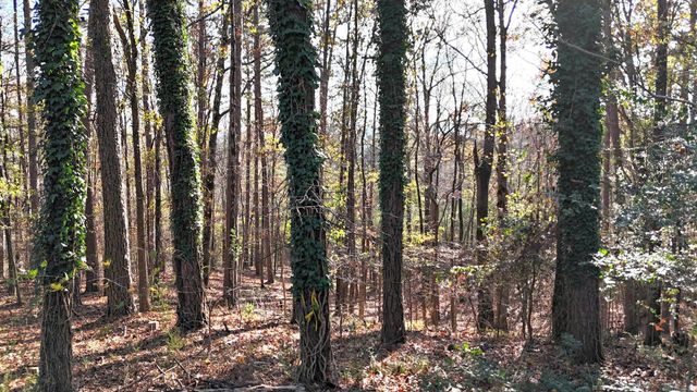 200 Ridge Street, Mena, AR 71953