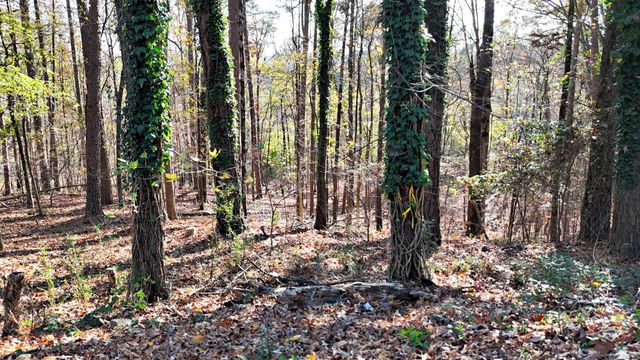 200 Ridge Street, Mena, AR 71953