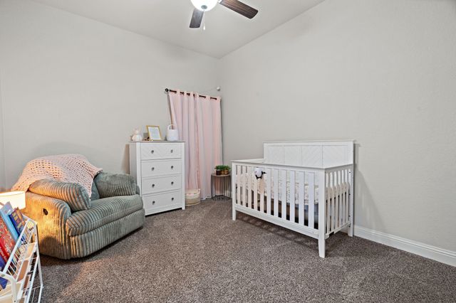 405 Venadito Drive, Godley, TX 76044