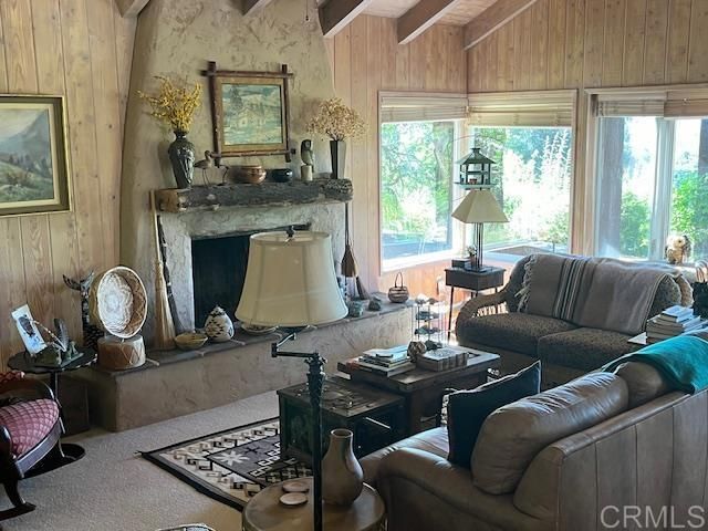 28843 Angel Mountain Road, Santa Ysabel, CA 92070