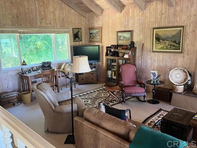 28843 Angel Mountain Road, Santa Ysabel, CA 92070