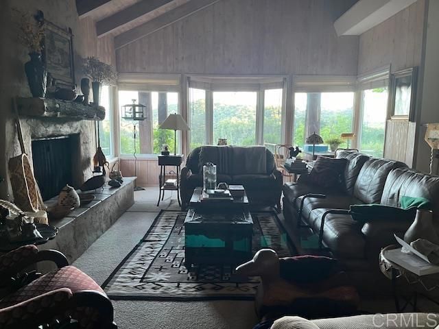 28843 Angel Mountain Road, Santa Ysabel, CA 92070