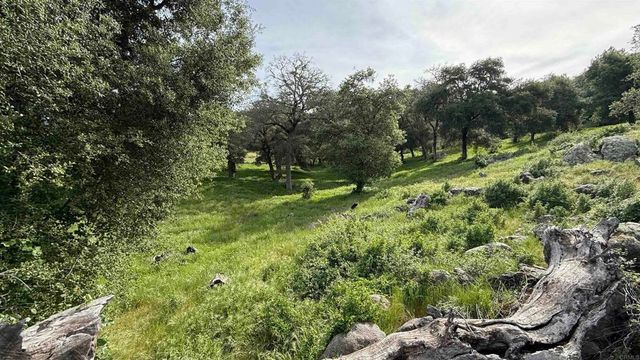 28843 Angel Mountain Road, Santa Ysabel, CA 92070