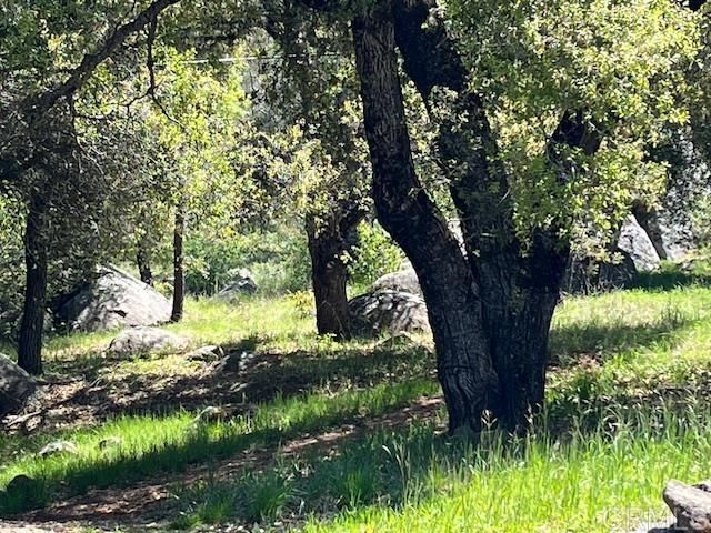 28843 Angel Mountain Road, Santa Ysabel, CA 92070