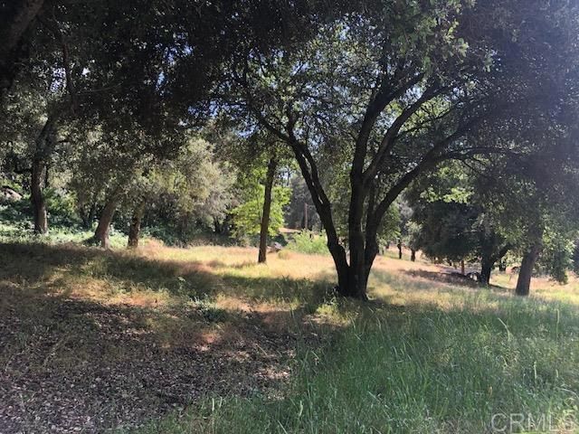 28843 Angel Mountain Road, Santa Ysabel, CA 92070