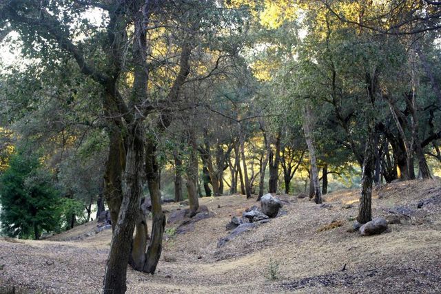 28843 Angel Mountain Road, Santa Ysabel, CA 92070