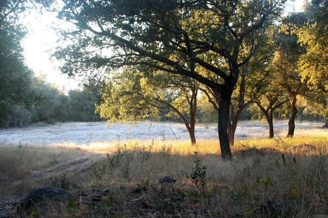 28843 Angel Mountain Road, Santa Ysabel, CA 92070