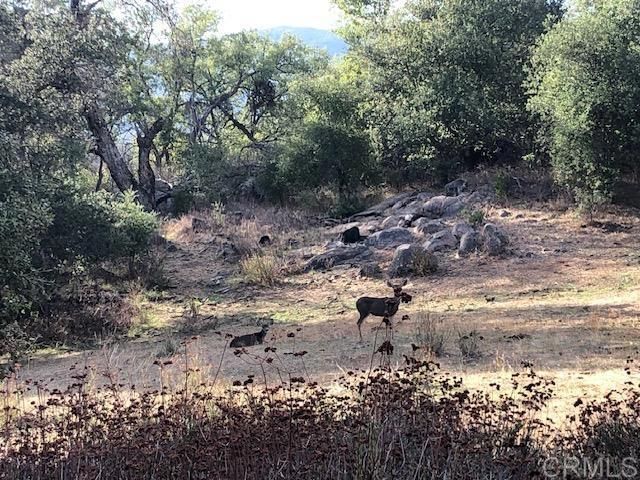 28843 Angel Mountain Road, Santa Ysabel, CA 92070