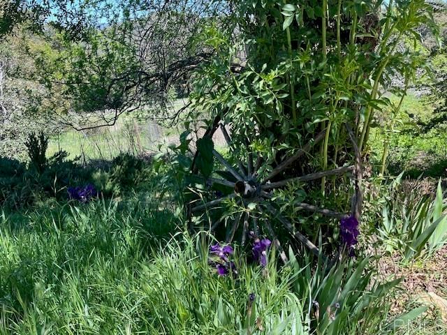 28843 Angel Mountain Road, Santa Ysabel, CA 92070