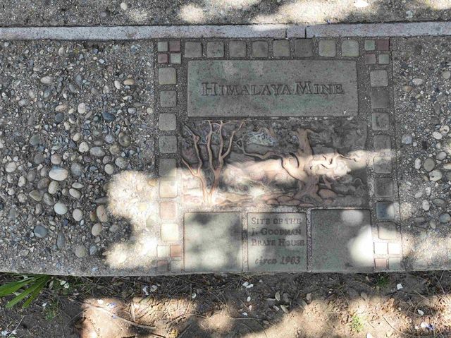 28843 Angel Mountain Road, Santa Ysabel, CA 92070