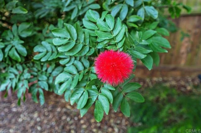 13637 Calais Drive, Del Mar, CA 92014