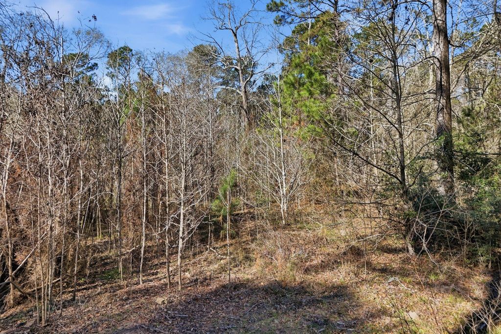 530 Smith Lane, Cleveland, TX 77328