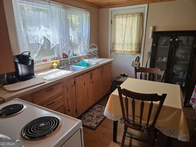 4320 Mineral Bluff Highway, Mineral Bluff, GA 30559