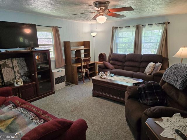 4320 Mineral Bluff Highway, Mineral Bluff, GA 30559