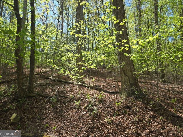 4320 Mineral Bluff Highway, Mineral Bluff, GA 30559