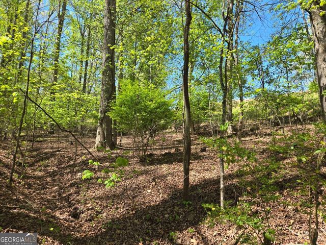 4320 Mineral Bluff Highway, Mineral Bluff, GA 30559