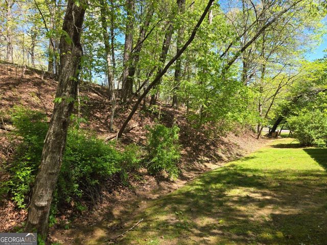 4320 Mineral Bluff Highway, Mineral Bluff, GA 30559