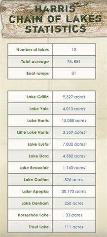 26625 BIMINI DRIVE, Tavares, FL 32778