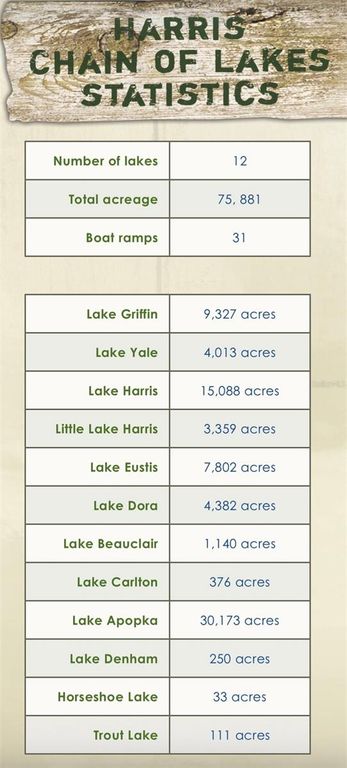 Image 38 of property listing at 26625 BIMINI DRIVE, Tavares, FL 32778