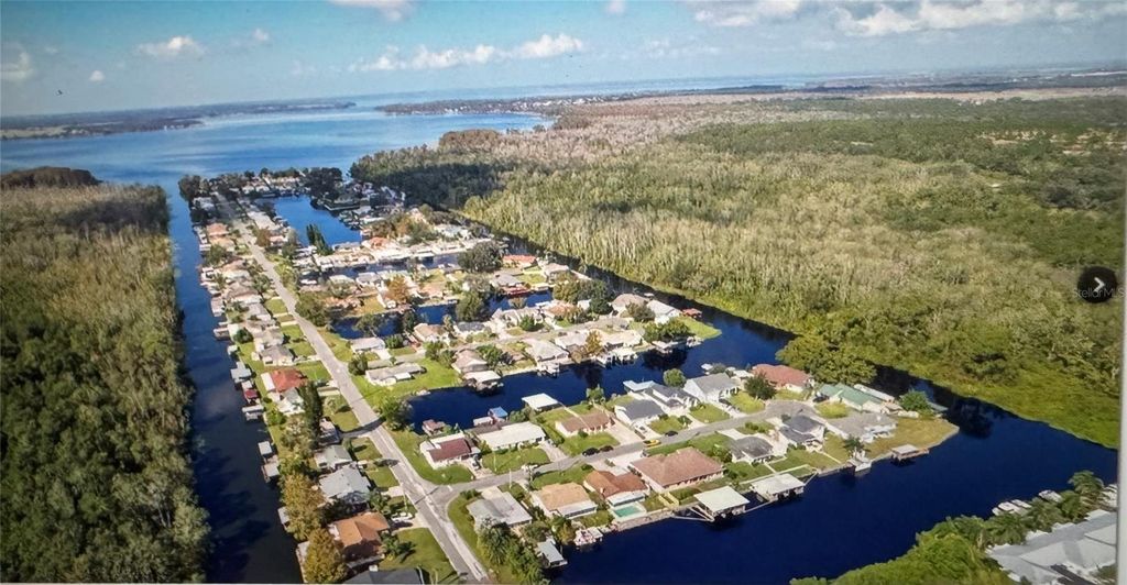 Image 40 of property listing at 26625 BIMINI DRIVE, Tavares, FL 32778