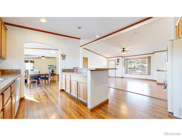 38 Carson Peak Court, Livermore, CO 80536