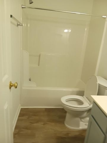 113 Trailing Fig Court, Cary, NC 27513