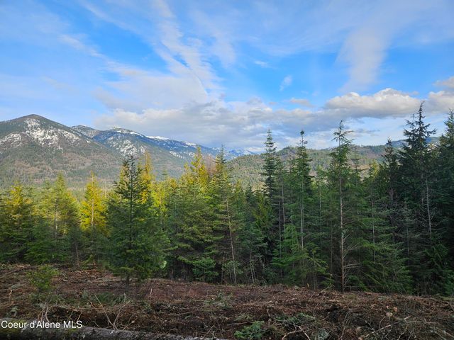 Lot 7 Sled Run Trl, Clark Fork, ID 83811