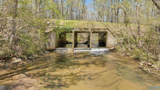 17217 Alabama Highway 176, Fort Payne, AL 35967