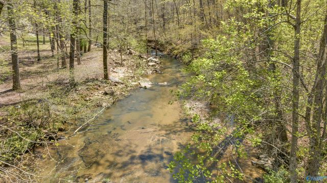 17217 Alabama Highway 176, Fort Payne, AL 35967