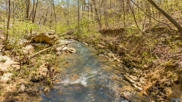 17217 Alabama Highway 176, Fort Payne, AL 35967