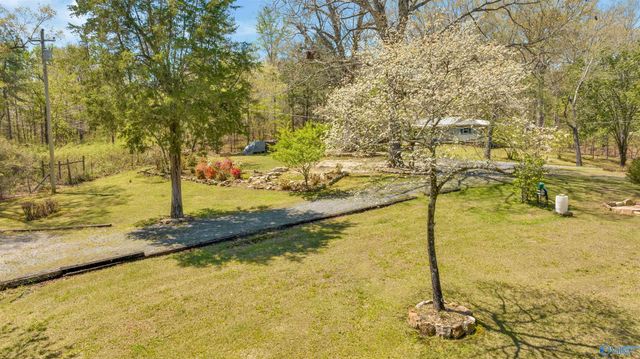 17217 Alabama Highway 176, Fort Payne, AL 35967