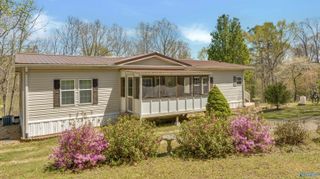 17217 Alabama Highway 176, Fort Payne, AL 35967