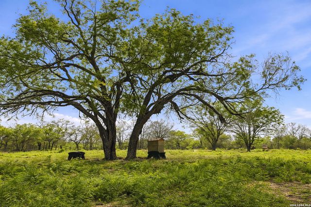 16310 State Highway 123, Seguin, TX 78155