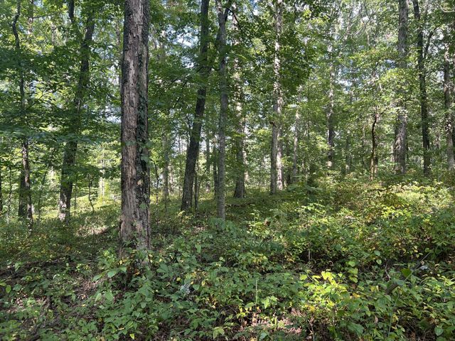 7872 Oscar Green Rd, Primm Springs, TN 38476