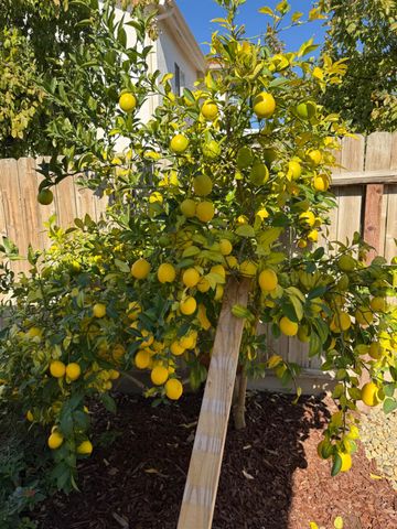 4525 Biltmore, Chowchilla, CA 93610