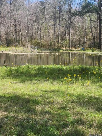 33050 Nancy Dr, Walker, LA 70785