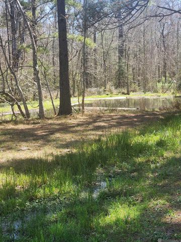 33050 Nancy Dr, Walker, LA 70785