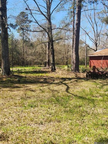 33050 Nancy Dr, Walker, LA 70785